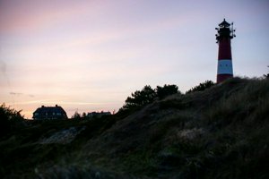 IMG_7081.jpg