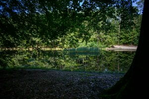 IMG_5535.jpg
