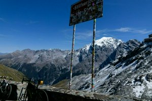 IMG_1659.jpg