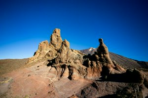 IMG_4220.jpg