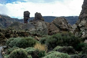 IMG_5785.jpg