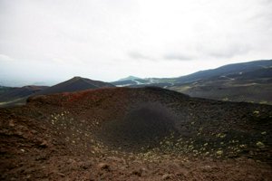 IMG_9528.jpg