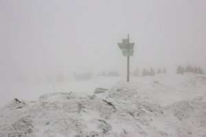 IMG_1349.jpg