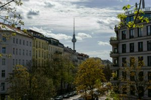 IMG_8265.jpg