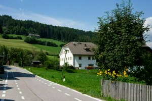 IMG_6136.jpg