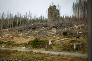 IMG_1229.jpg