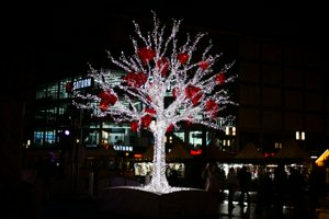 IMG_0926.jpg