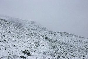 IMG_0121.jpg