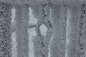 IMG_2704.jpg