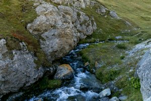 IMG_1921.jpg