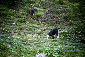IMG_6292.jpg