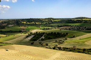 IMG_0007.jpg