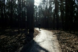 IMG_1102.jpg