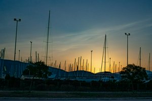 IMG_5049-Enhanced-NR.jpg