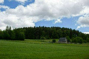 IMG_8527.jpg