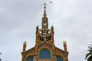 IMG_9375.jpg