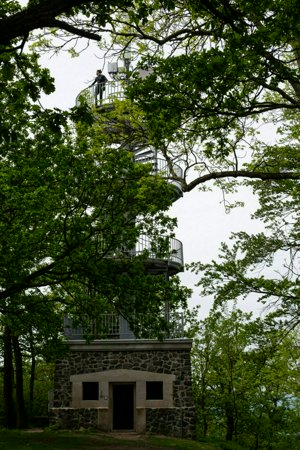 IMG_0811.jpg