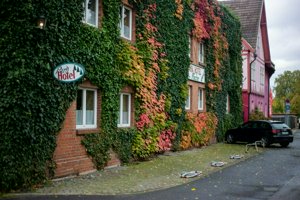 IMG_9773.jpg