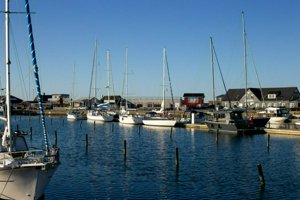 IMG_7372.jpg