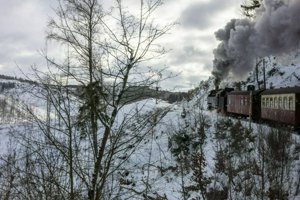 IMG_2435.jpg