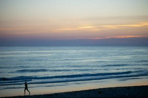 IMG_6220.jpg