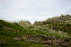 IMG_9864.jpg