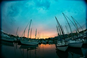 IMG_9952.jpg