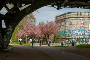IMG_8262-Улучшено-NR.jpg