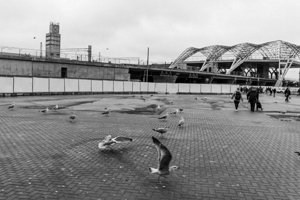 IMG_1182.jpg