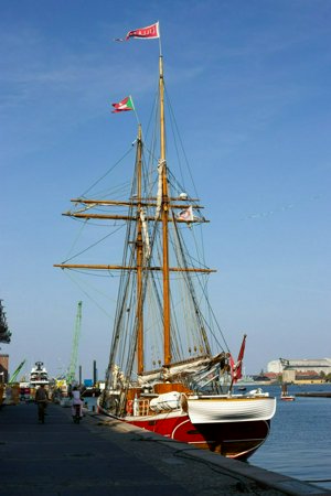 IMG_7948.jpg