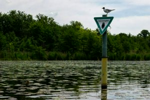 IMG_7657.jpg
