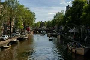 IMG_2263.jpg