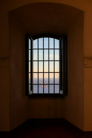 IMG_8747_1.jpg
