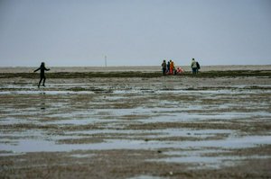 IMG_7839.jpg