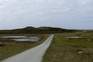 IMG_5921.jpg