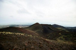 IMG_9510.jpg