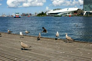 IMG_4437.jpg