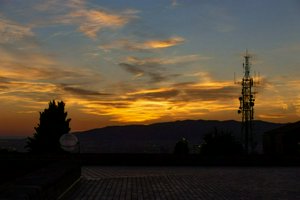 IMG_8833.jpg