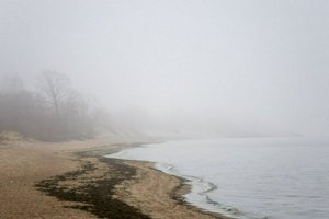 IMG_2223.jpg