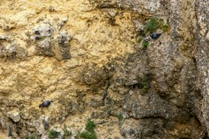 IMG_6682.jpg