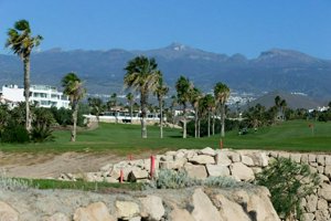 IMG_2332.jpg