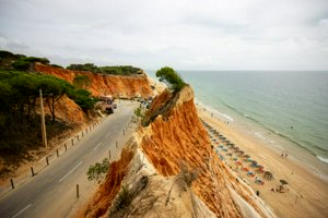 IMG_7427.jpg