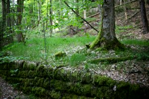 IMG_1159.jpg