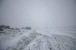 IMG_0135.jpg