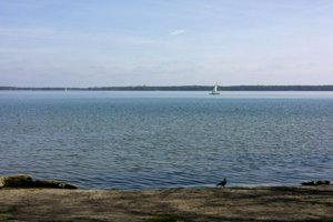 IMG_9713.jpg