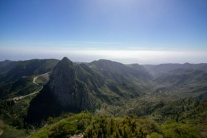 IMG_2812.jpg