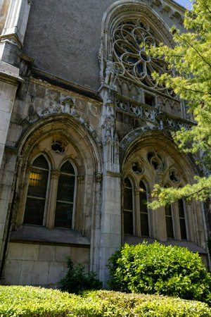 IMG_3789.jpg