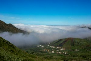IMG_7031.jpg