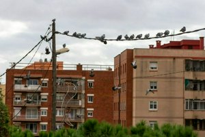 IMG_9244.jpg
