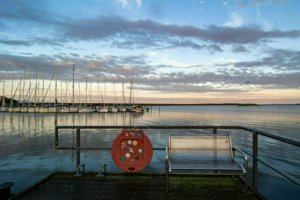 IMG_4099.jpg
